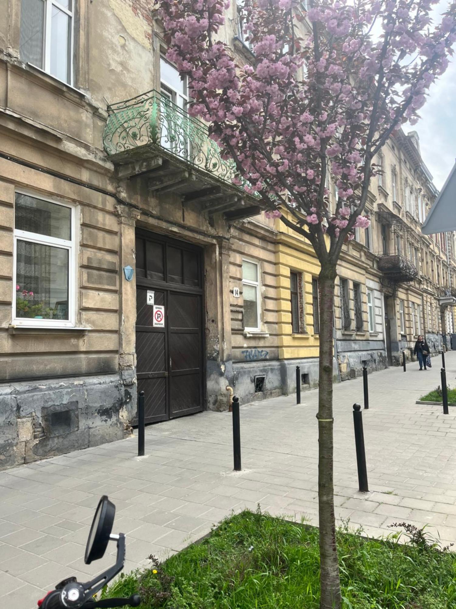 Medova Apartments Lviv Buitenkant foto